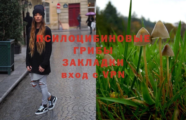 метадон Магас