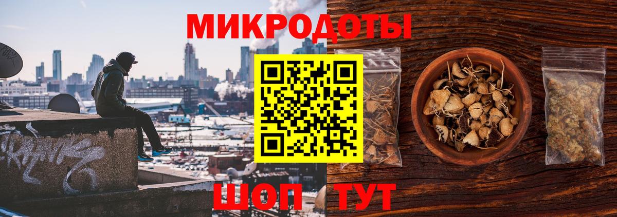 Бердск  Галлюциногенные грибы Magic Shrooms  Вход с VPN 