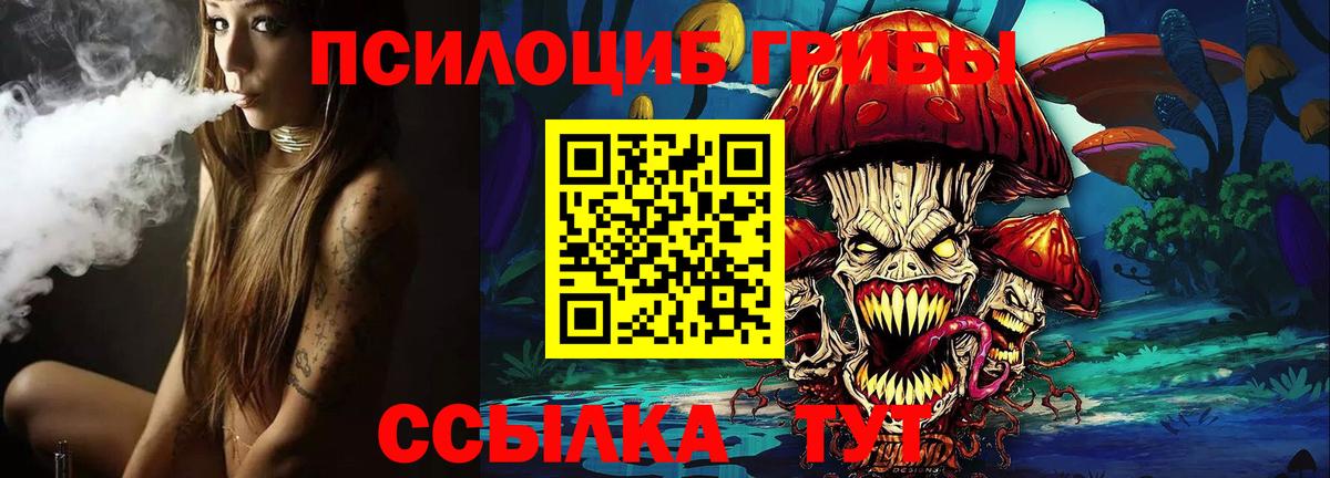 Псилоцибиновые грибы Psilocybine cubensis Бердск
