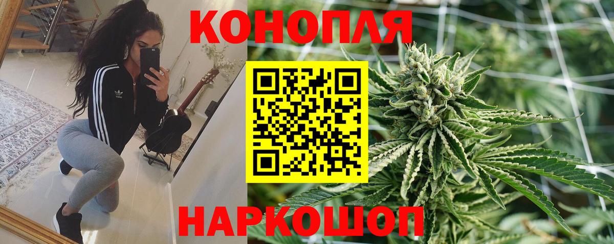Конопля VHQ  Вход с VPN  Конопля конопля  Конопля сатива  Бердск 